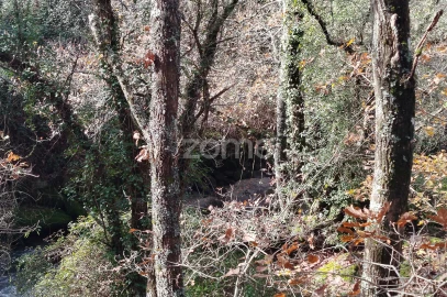 Terreno para Venda em Faíl e Vila Chã de Sá