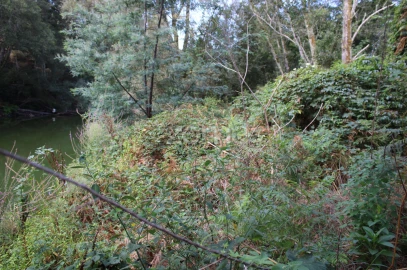 Terreno para Venda em Faíl e Vila Chã de Sá
