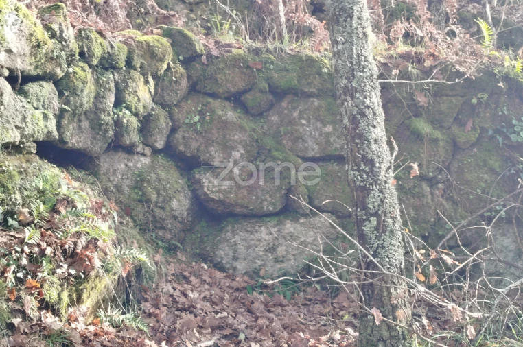 Terreno para Venda em Faíl e Vila Chã de Sá Foto 14