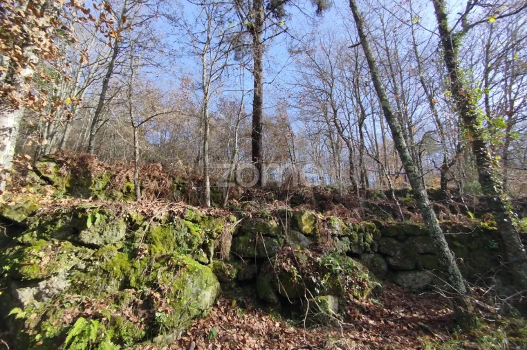 Terreno para Venda em Faíl e Vila Chã de Sá Foto 16