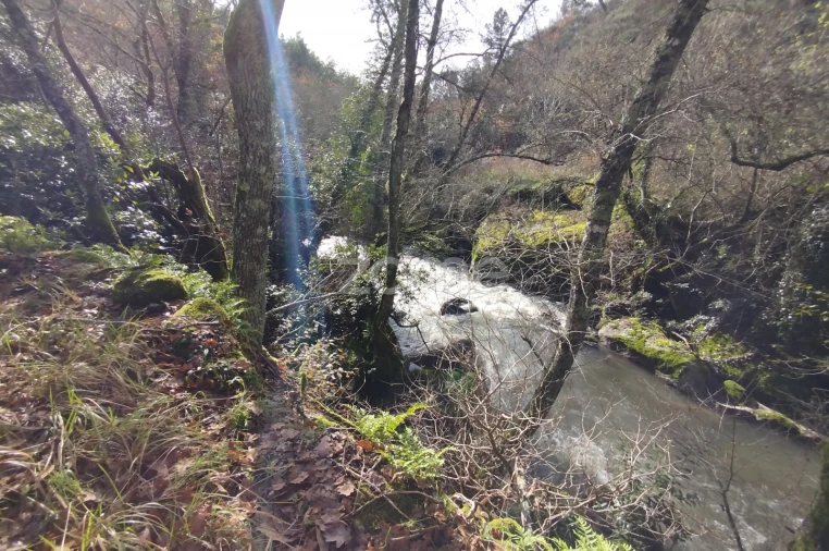 Terreno para Venda em Faíl e Vila Chã de Sá