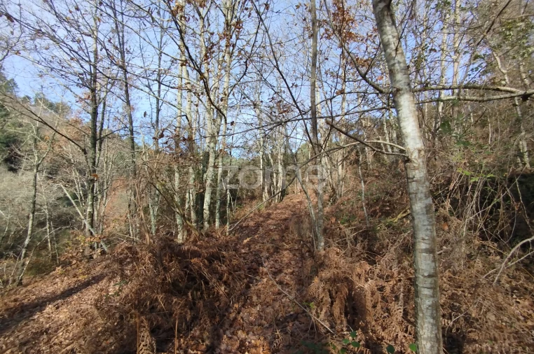 Terreno para Venda em Faíl e Vila Chã de Sá Foto 20