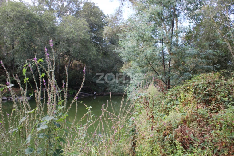 Terreno para Venda em Faíl e Vila Chã de Sá Foto 3