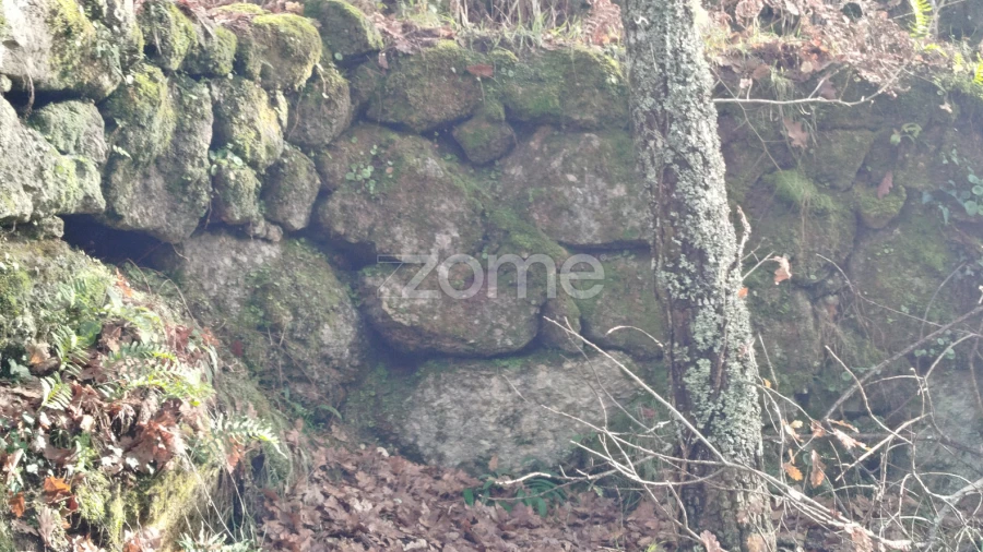Terreno para Venda em Faíl e Vila Chã de Sá