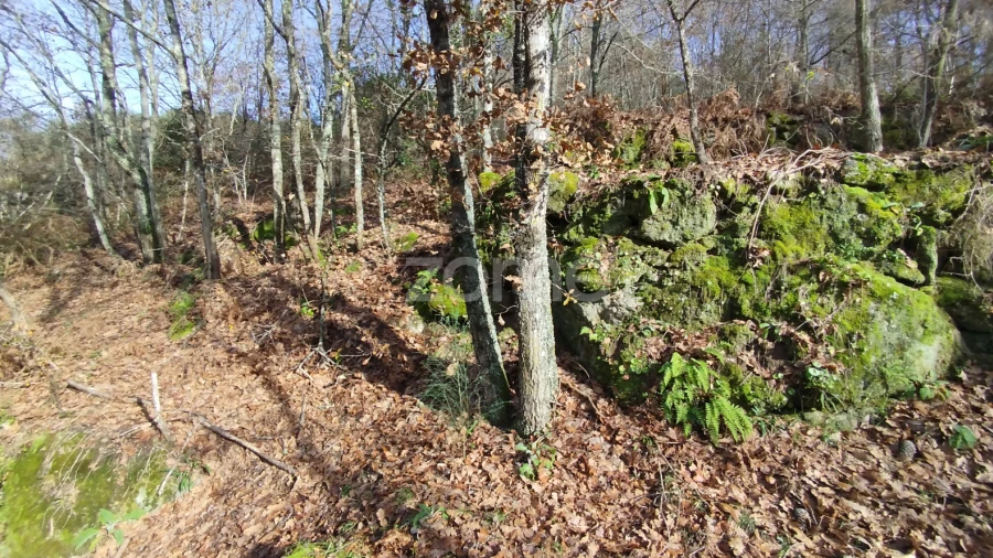 Terreno para Venda em Faíl e Vila Chã de Sá