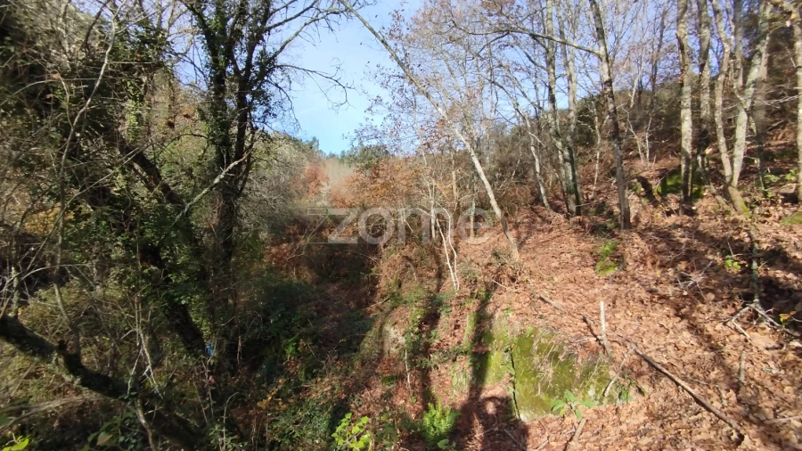 Terreno para Venda em Faíl e Vila Chã de Sá