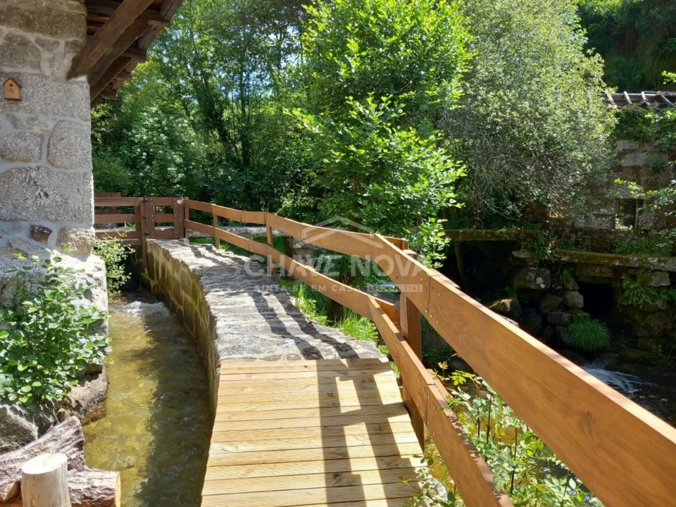 Quinta T4 para Venda em Travassos Foto 2