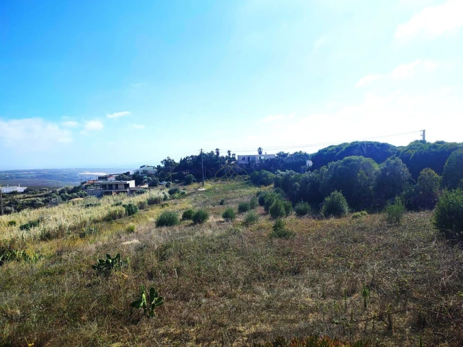 Terreno Agricola ou Rústico para Venda em Alcabideche Foto 5