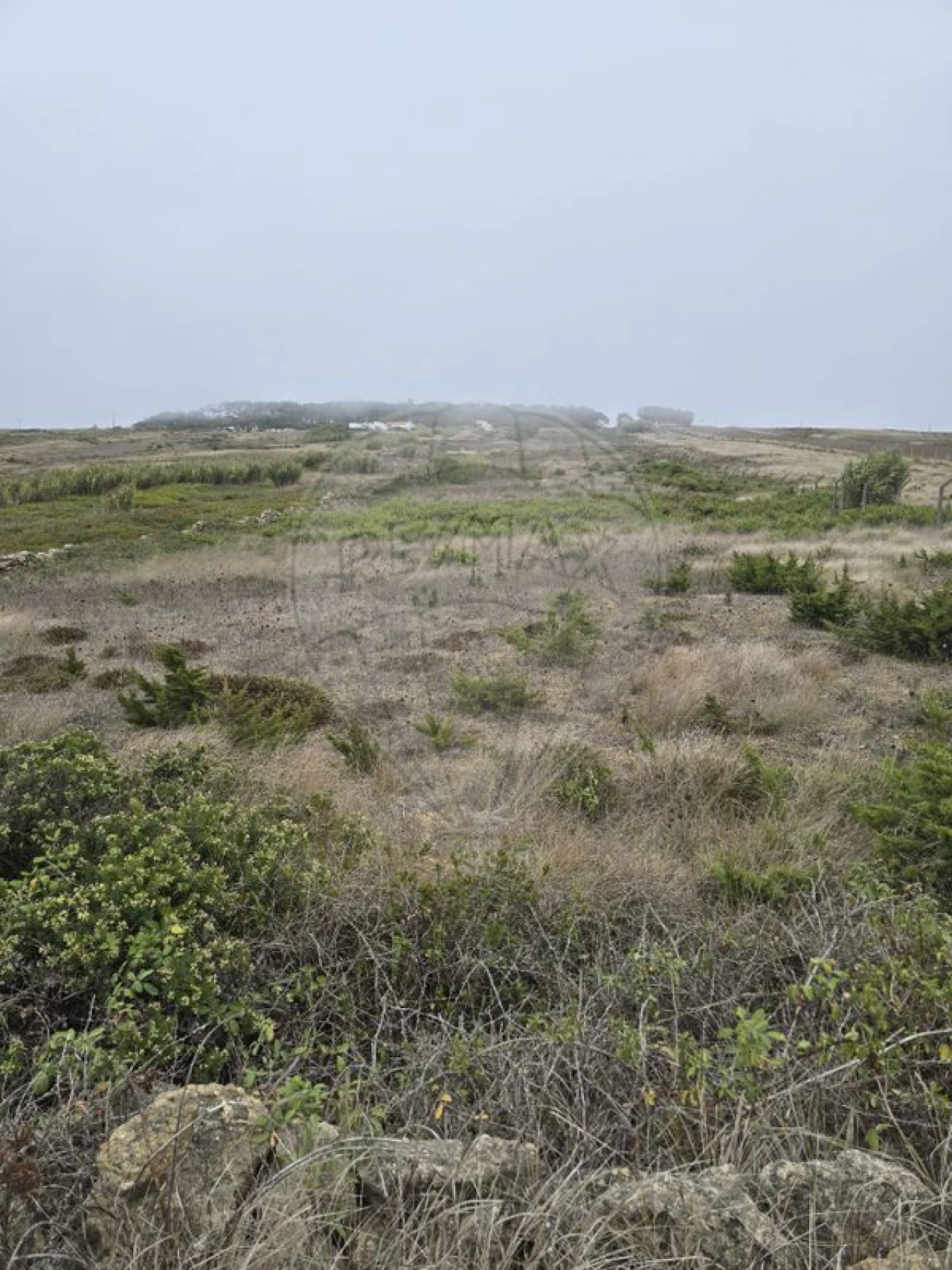 Terreno para Venda em São João das Lampas e Terrugem Foto 4
