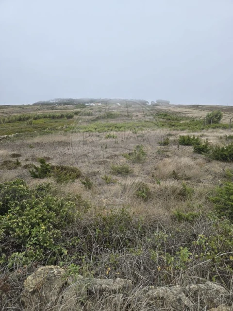 Terreno para Venda em São João das Lampas e Terrugem