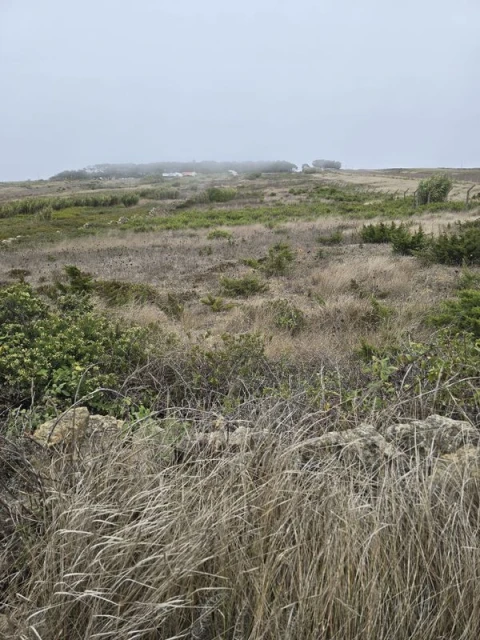 Terreno para Venda em São João das Lampas e Terrugem