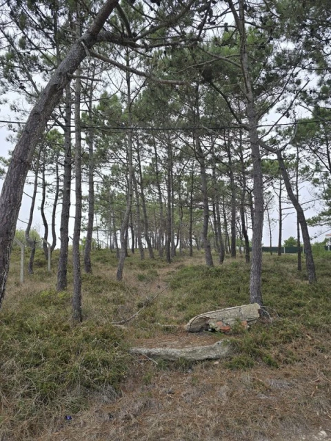 Terreno para Venda em São João das Lampas e Terrugem