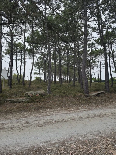 Terreno para Venda em São João das Lampas e Terrugem