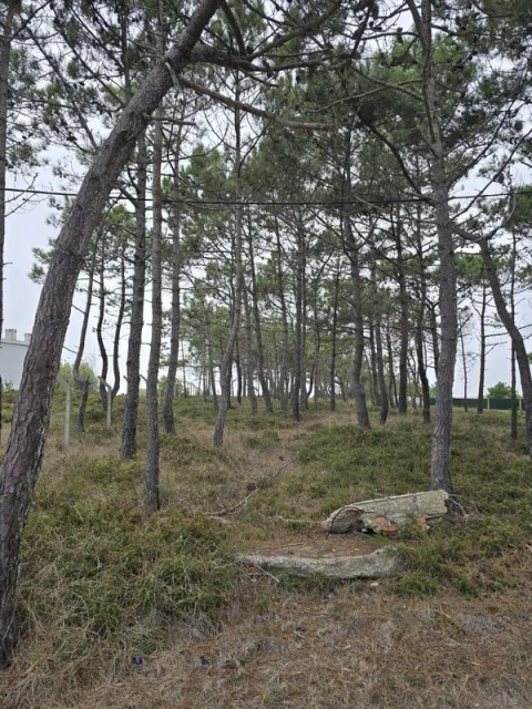 Terreno para Venda em São João das Lampas e Terrugem