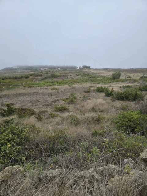 Terreno para Venda em São João das Lampas e Terrugem