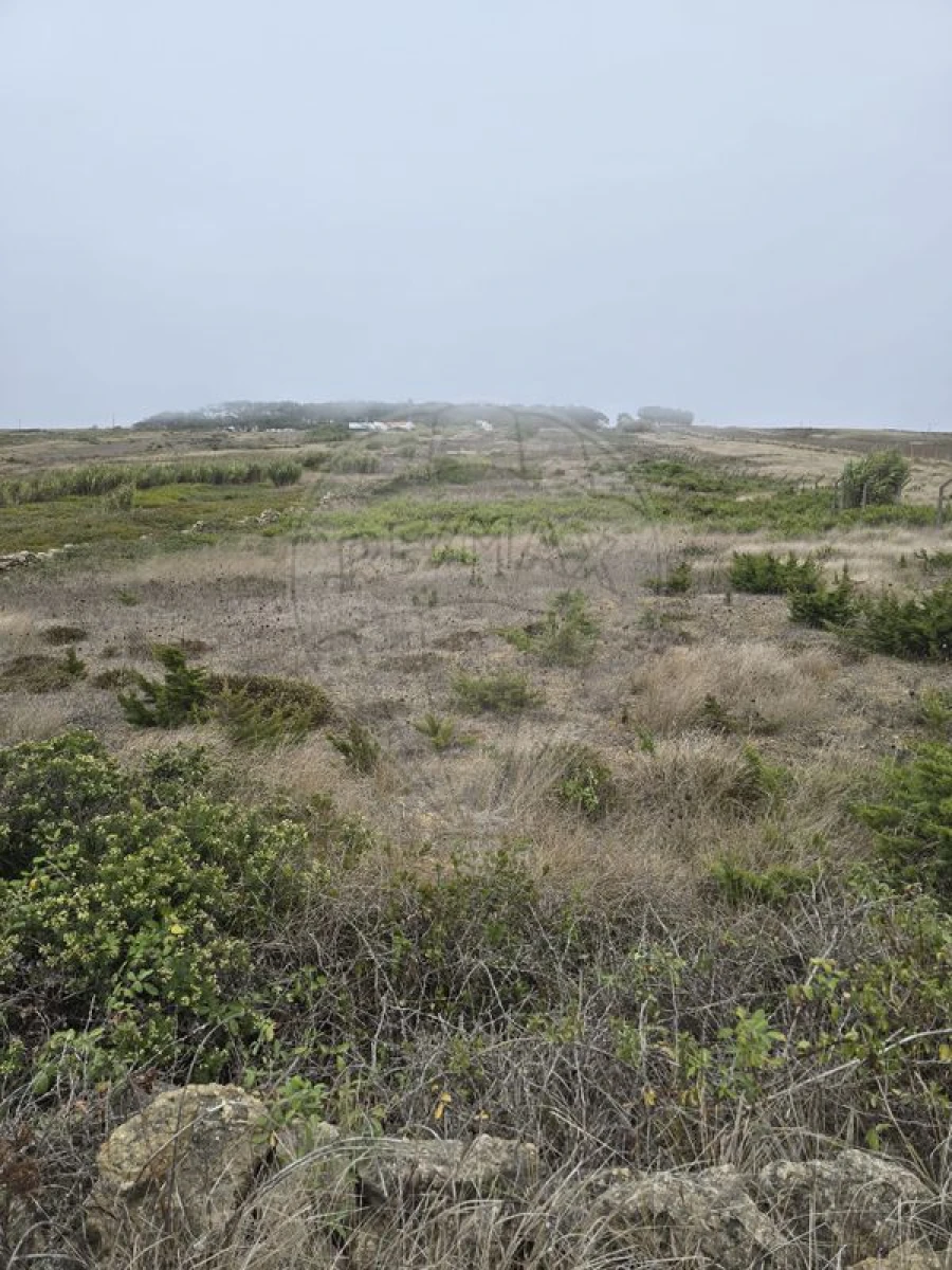 Terreno para Venda em São João das Lampas e Terrugem Foto 4