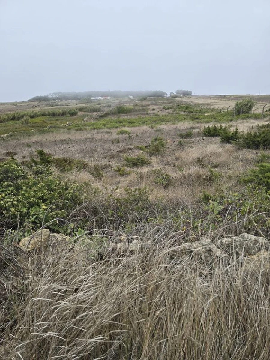 Terreno para Venda em São João das Lampas e Terrugem Foto 6