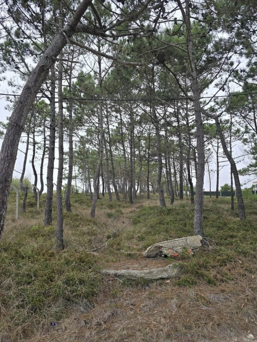 Terreno para Venda em São João das Lampas e Terrugem Foto 5