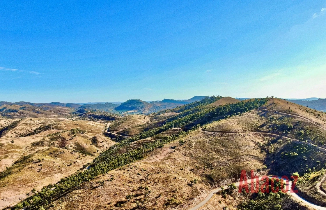 Terreno P/ Prédio para Venda em São Bartolomeu de Messines Foto 4