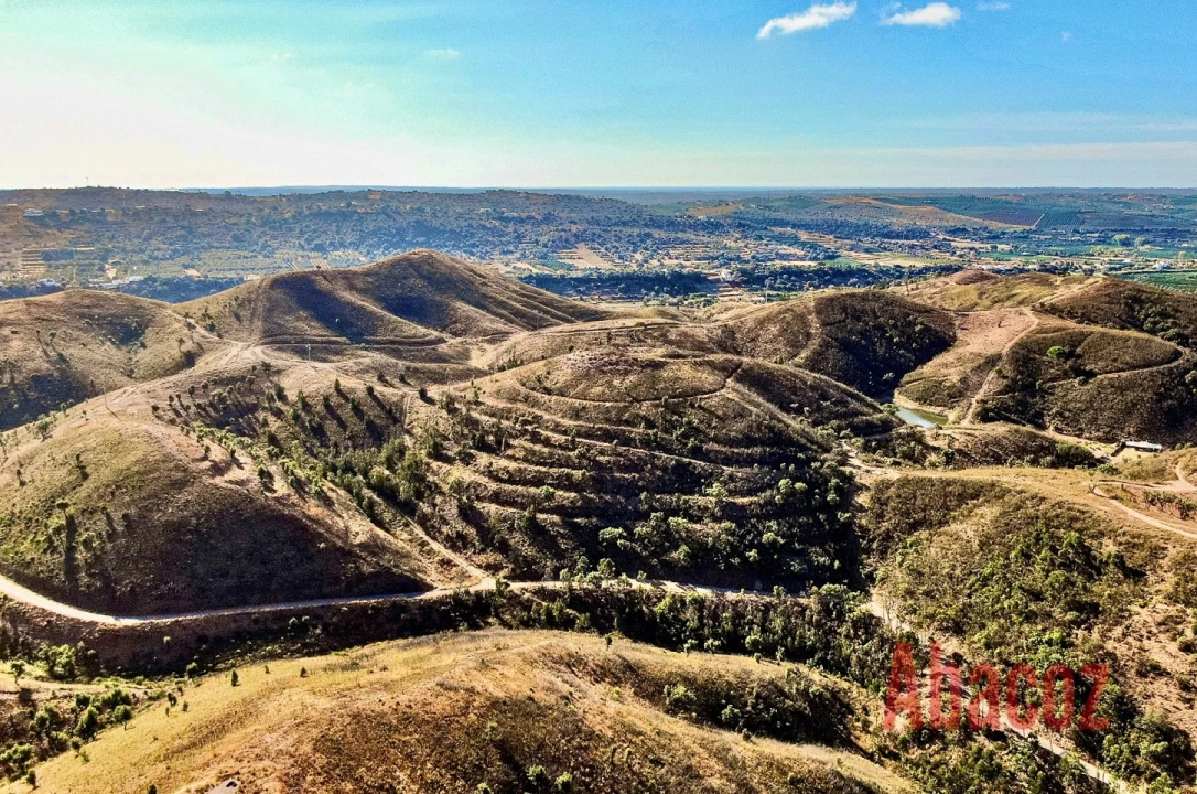 Terreno P/ Prédio para Venda em São Bartolomeu de Messines Foto 5