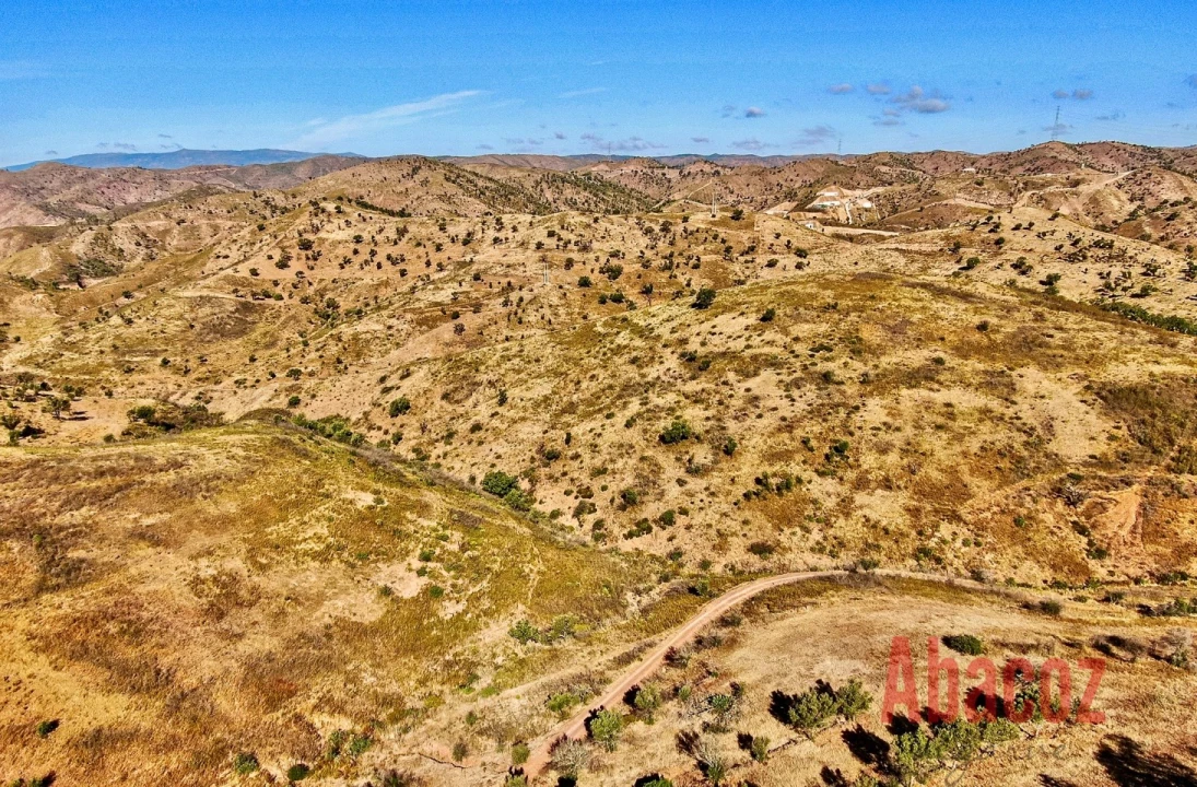 Terreno P/ Prédio para Venda em São Bartolomeu de Messines Foto 10