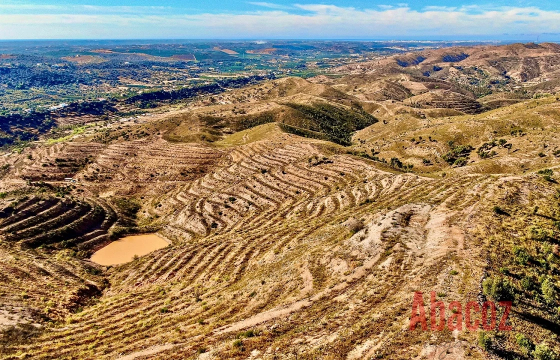 Terreno P/ Prédio para Venda em São Bartolomeu de Messines Foto 15