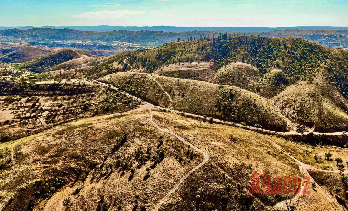 Terreno P/ Prédio para Venda em São Bartolomeu de Messines Foto 18