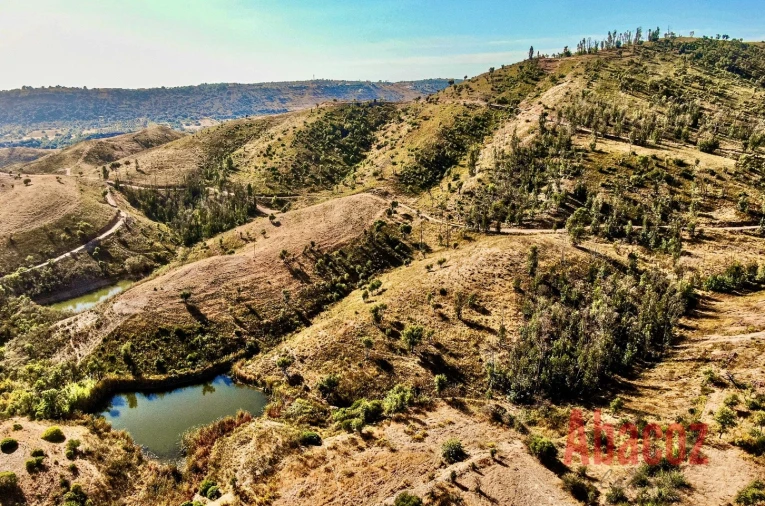 Terreno P/ Prédio para Venda em São Bartolomeu de Messines Foto 12