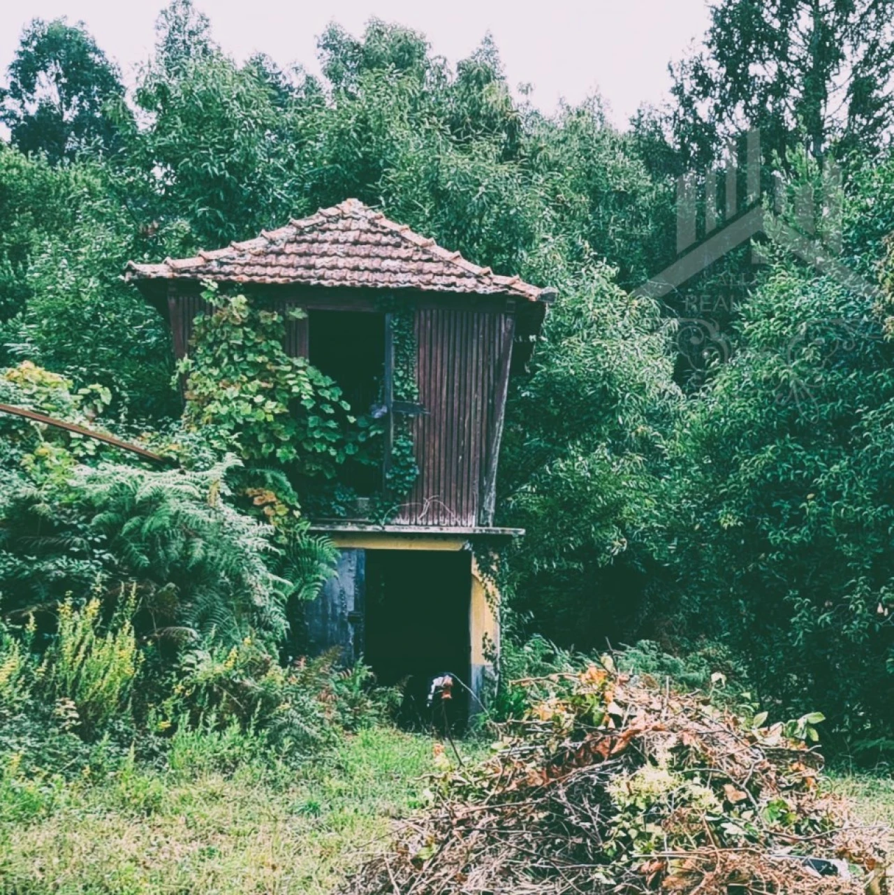 Moradia T9 para Venda em Grijó e Sermonde Foto 14