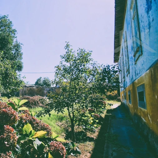 Moradia T9 para Venda em Grijó e Sermonde Foto 7