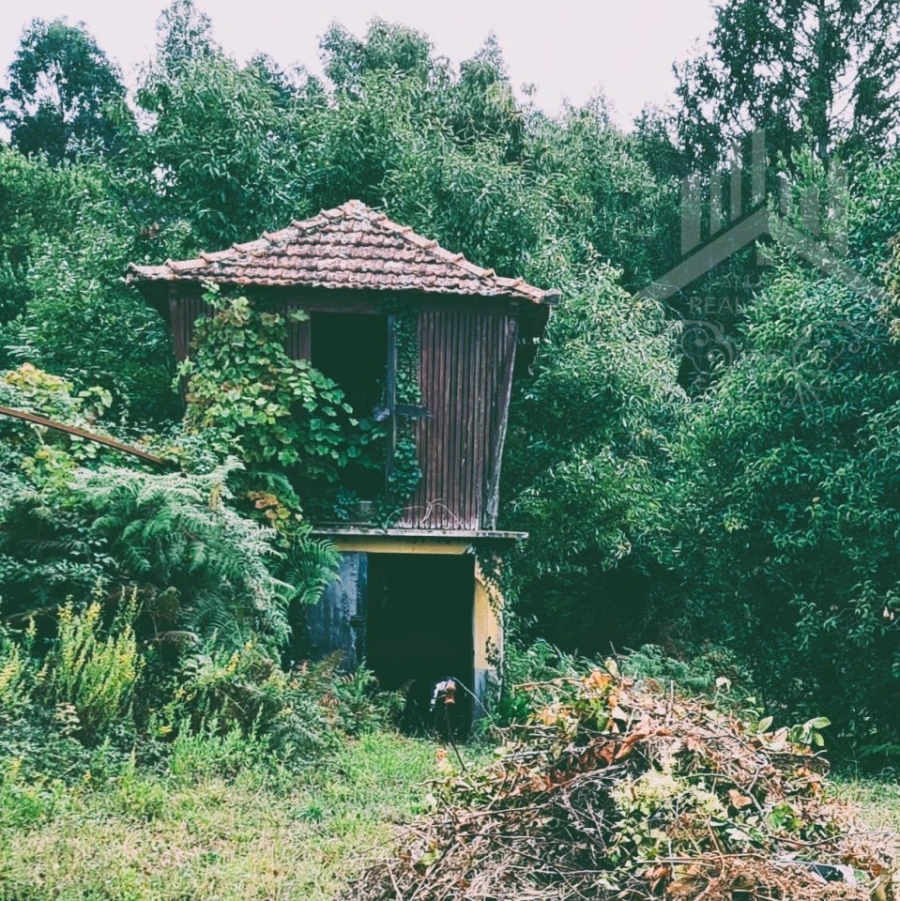 Moradia T9 para Venda em Grijó e Sermonde Foto 14