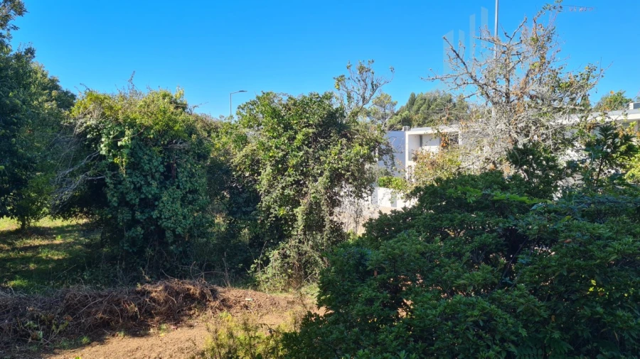 Moradia T9 para Venda em Grijó e Sermonde Foto 31