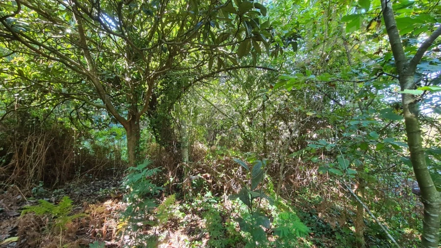 Moradia T9 para Venda em Grijó e Sermonde Foto 32