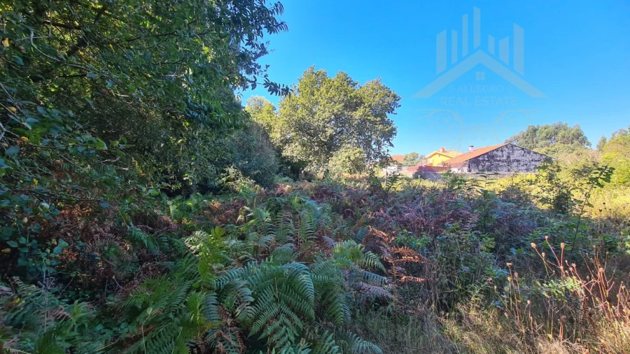 Moradia T9 para Venda em Grijó e Sermonde Foto 33