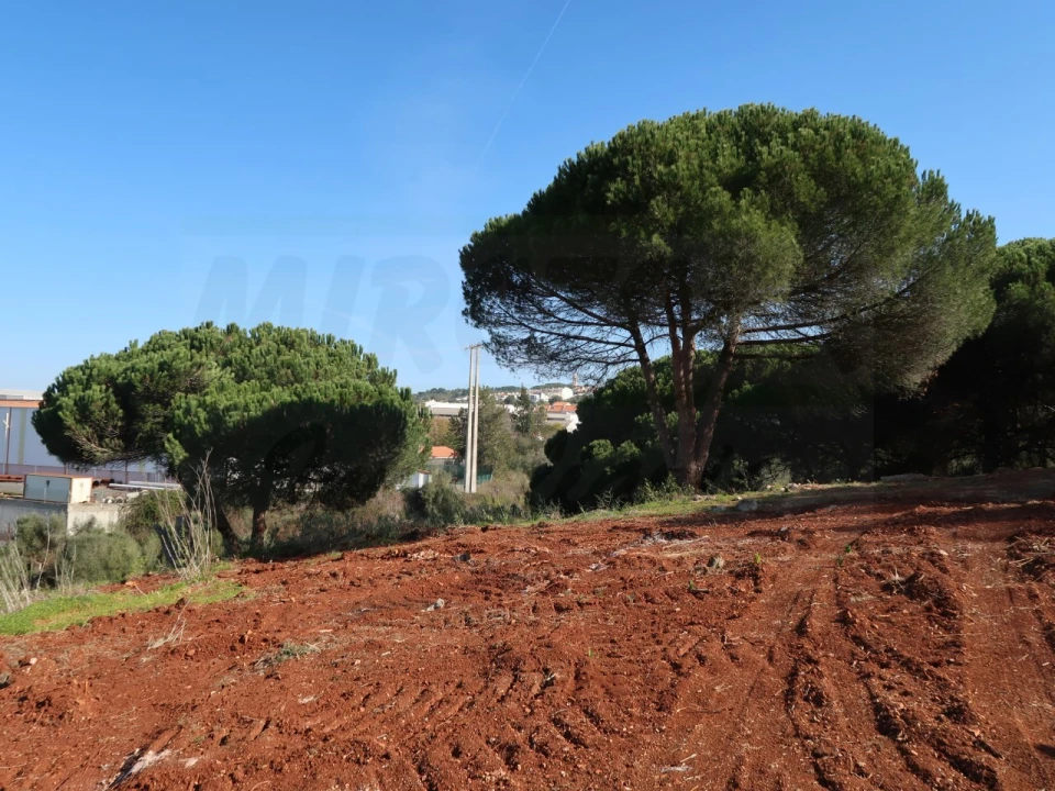 Quinta T1 para Venda em Santiago do Cacém, Santa Cruz e São Bartolomeu da Serra Foto 22