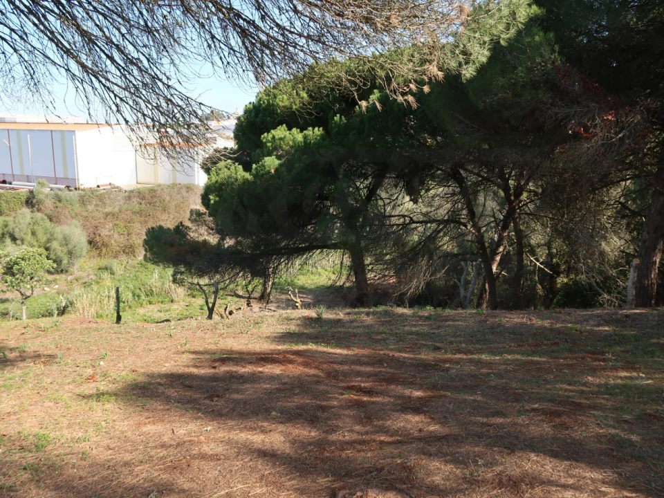 Quinta T1 para Venda em Santiago do Cacém, Santa Cruz e São Bartolomeu da Serra Foto 23