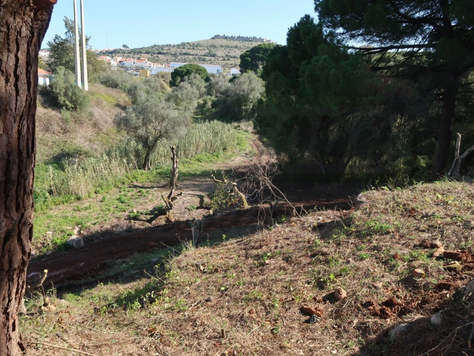 Quinta T1 para Venda em Santiago do Cacém, Santa Cruz e São Bartolomeu da Serra Foto 25