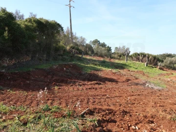 Quinta T1 para Venda em Santiago do Cacém, Santa Cruz e São Bartolomeu da Serra