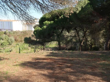 Quinta T1 para Venda em Santiago do Cacém, Santa Cruz e São Bartolomeu da Serra