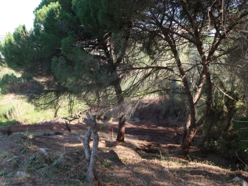 Quinta T1 para Venda em Santiago do Cacém, Santa Cruz e São Bartolomeu da Serra