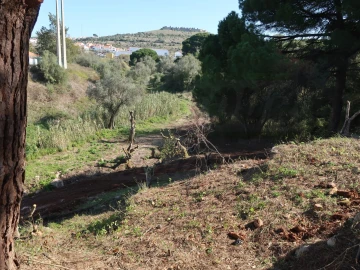 Quinta T1 para Venda em Santiago do Cacém, Santa Cruz e São Bartolomeu da Serra