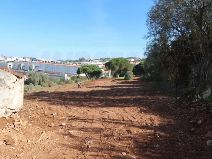 Quinta T1 para Venda em Santiago do Cacém, Santa Cruz e São Bartolomeu da Serra Foto 14