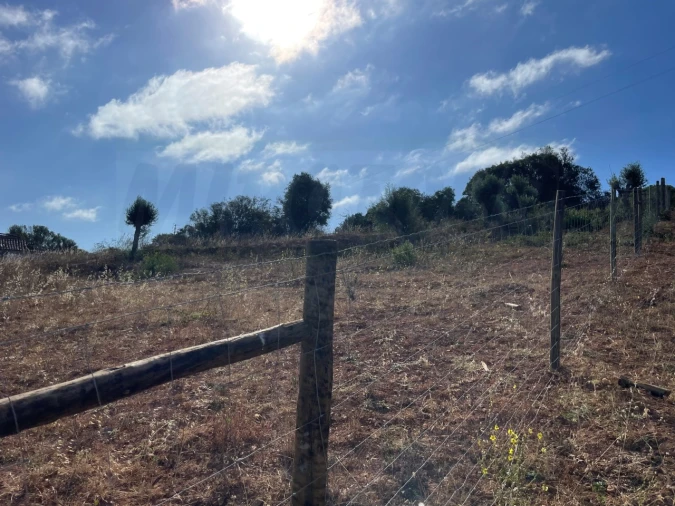 Quinta T1 para Venda em Santiago do Cacém, Santa Cruz e São Bartolomeu da Serra Foto 36