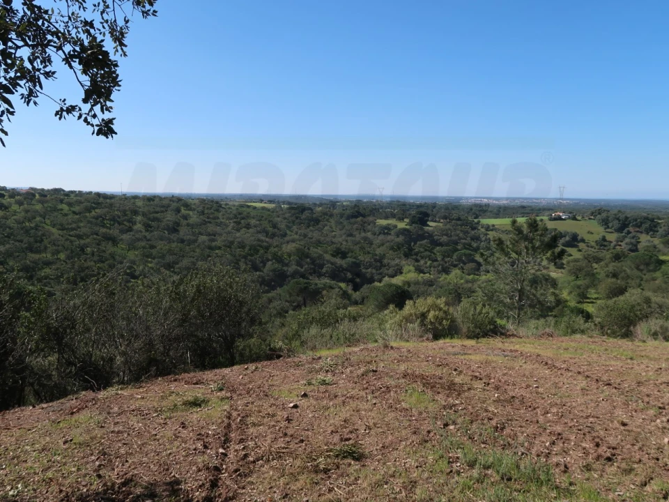 Terreno Agricola ou Rústico para Venda em Melides Foto 3