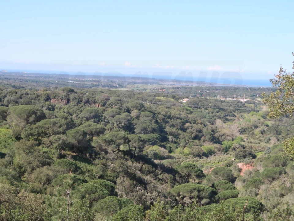 Terreno Agricola ou Rústico para Venda em Melides Foto 2