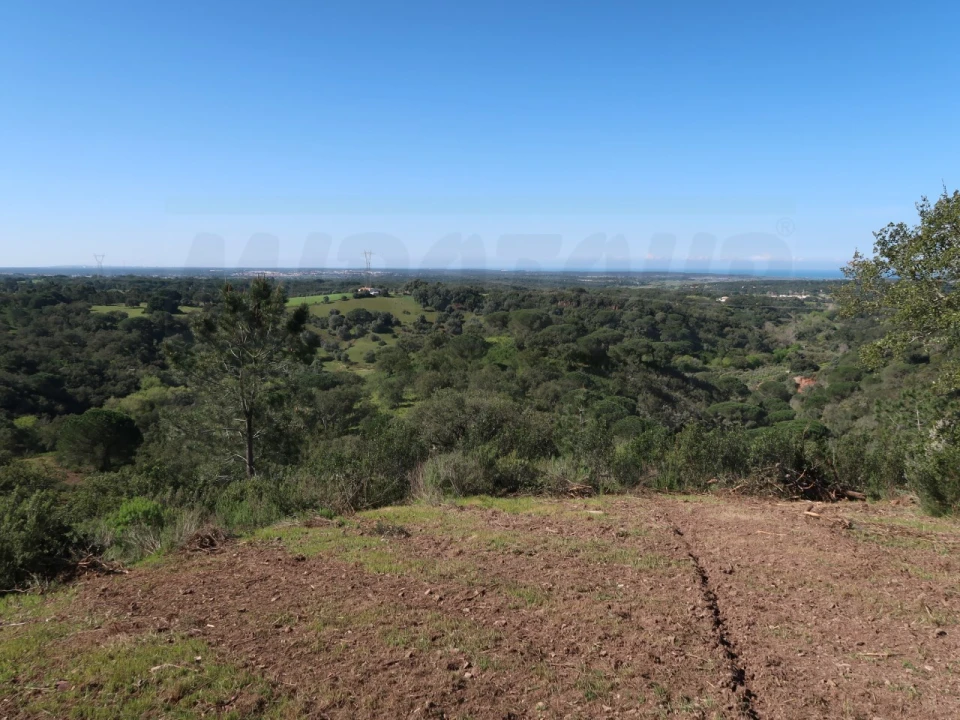 Terreno Agricola ou Rústico para Venda em Melides Foto 8
