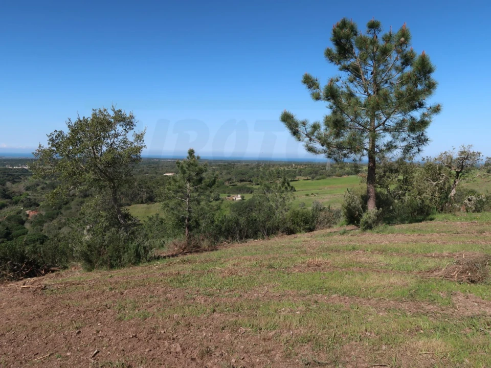 Terreno Agricola ou Rústico para Venda em Melides Foto 10