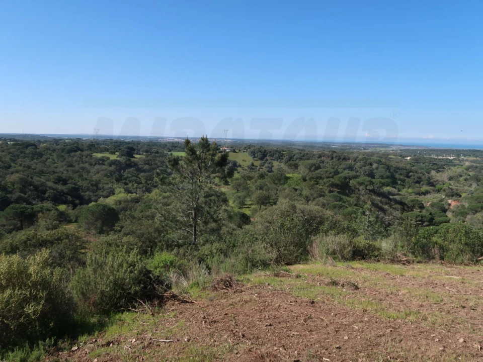 Terreno Agricola ou Rústico para Venda em Melides Foto 11