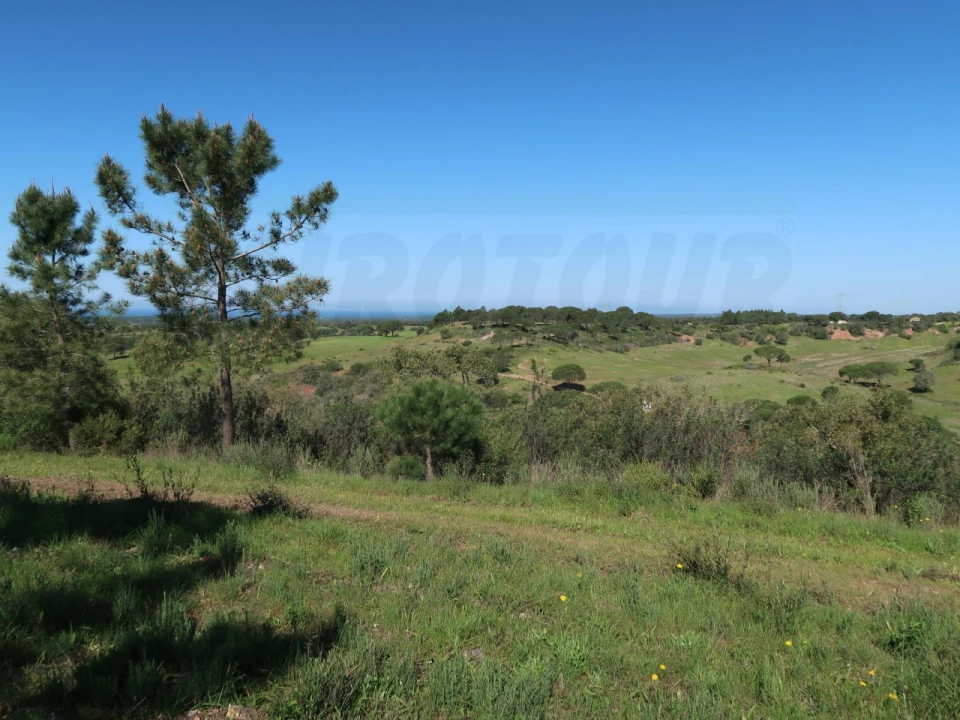 Terreno Agricola ou Rústico para Venda em Melides Foto 13