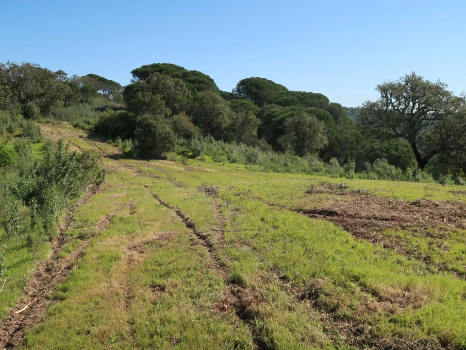 Terreno Agricola ou Rústico para Venda em Melides Foto 21